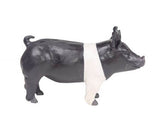 Little Buster Toys Hampshire Show Pig