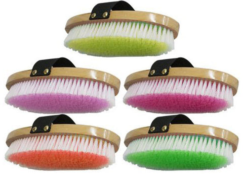 English Brush Assorted Colors