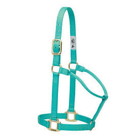 Mint 1" Small Non Adjustable Halter