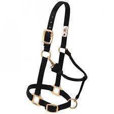 Weaver Black 1" Non-Adjustable Medium Halter