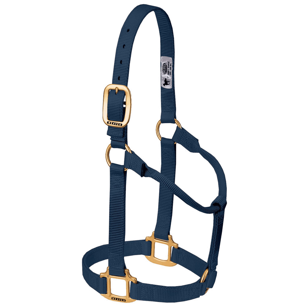 Navy 1" Average Size Non Adjustable Halter