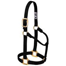 Black 1" Non Adjustable Large Halter