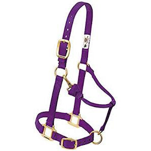 Weaver Purple Adjustable Chin and Throat Snap Halter