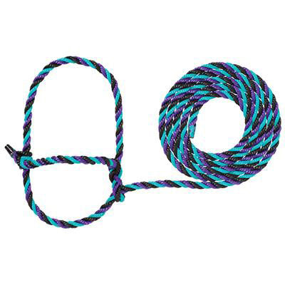 Weaver Leather- Purple and Teal Cattle Rope Halter