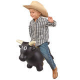 Big Country Lil Bucker Bull W/Window Box