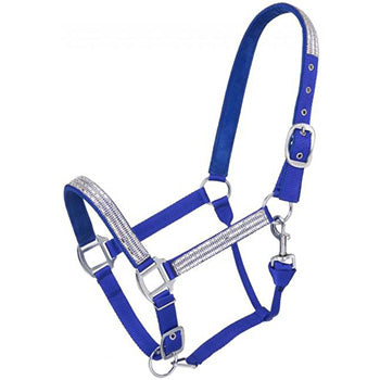 Royal Blue Adjustable Nylon Halter with Crystal Accents