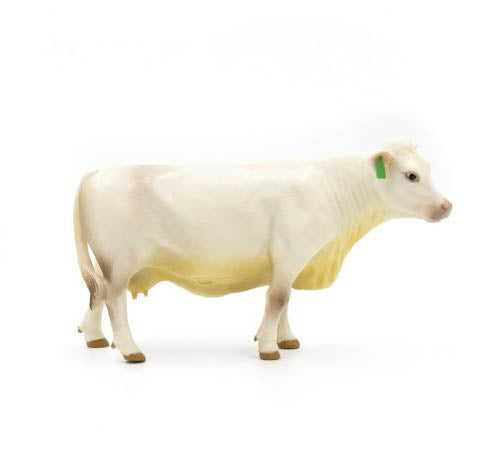 Little buster hot sale cows