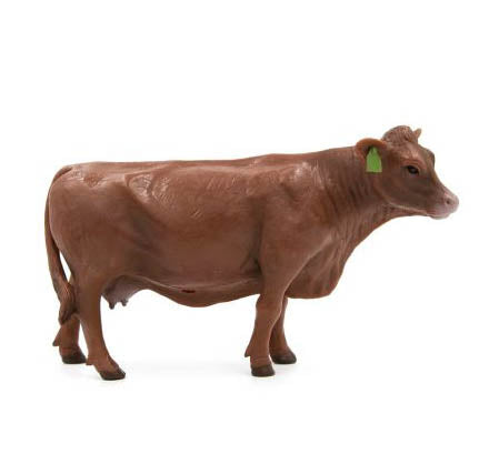 Little Buster Toys Red Angus cow