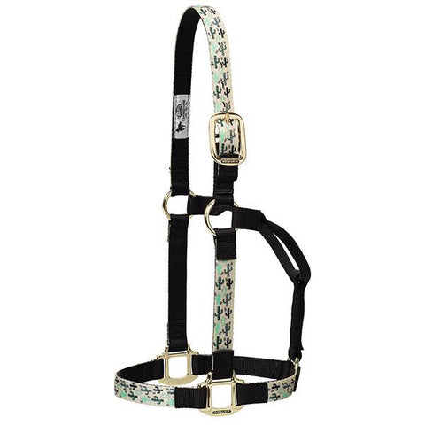 Weaver Leather Cactus Average Halter