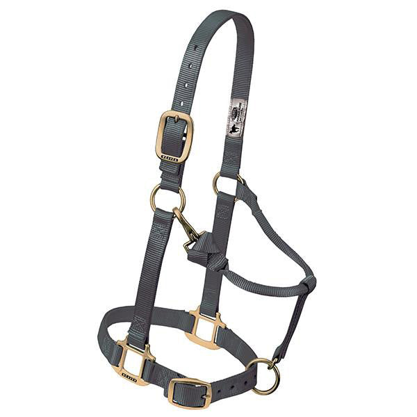 Weaver Leather Graphite Weanling/Pony Halter