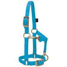 Weaver Hurricane Blue 5/8" Mini Halter