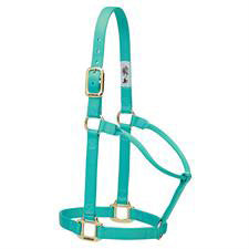 Weaver Mint 1" Non Adjustable Halter