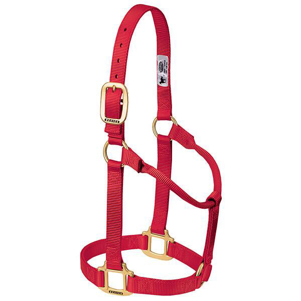 Weaver Leather Red 1" Small Halter