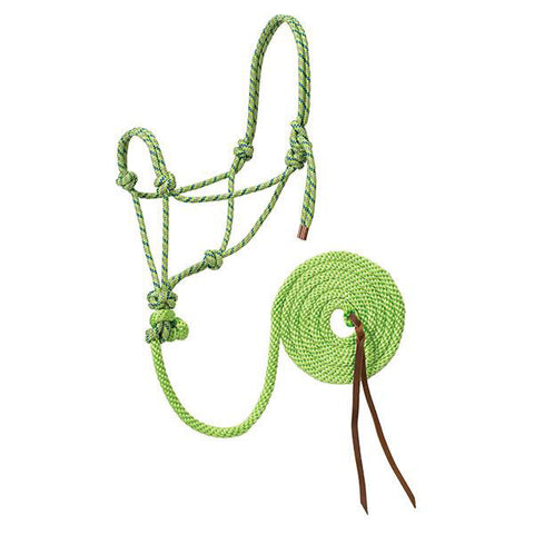 Weaver Leather Lime and Blue Braided Rope Halter with Lead