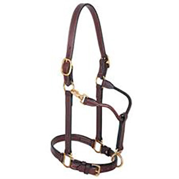 1" Track Halter -  Mahogany