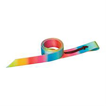 Weaver Rainbow Nylon 5' Latigo