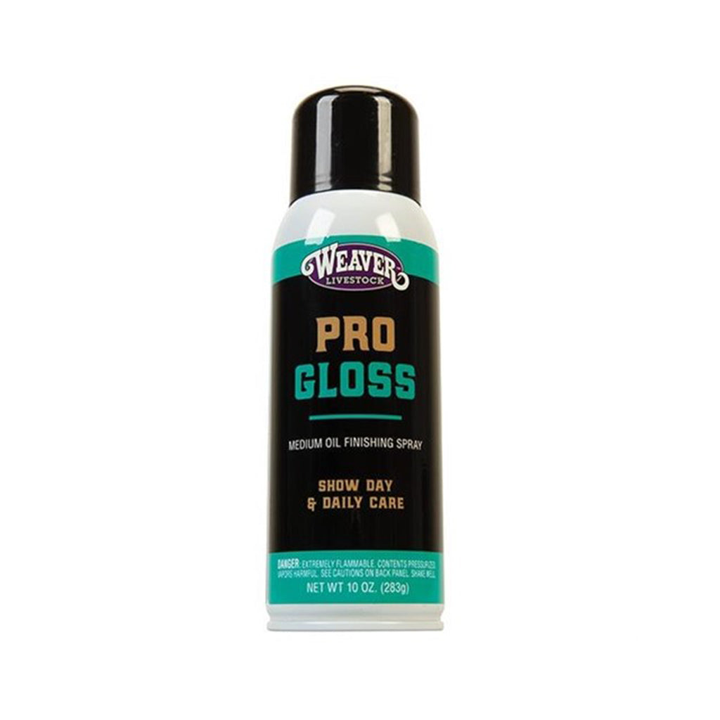 Pro Gloss Finishing Spray