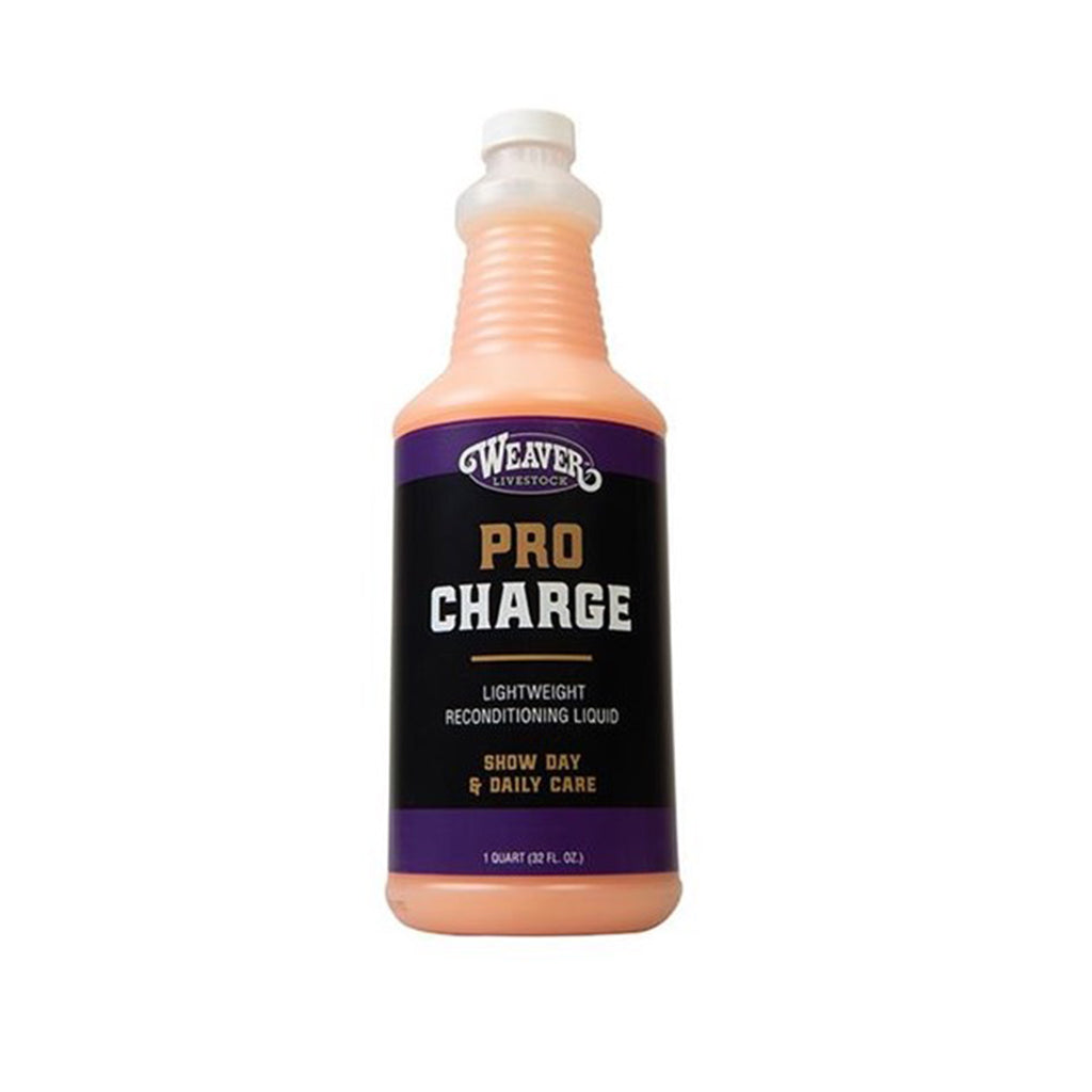 ProCharge Reconditioning Liquid, Quart