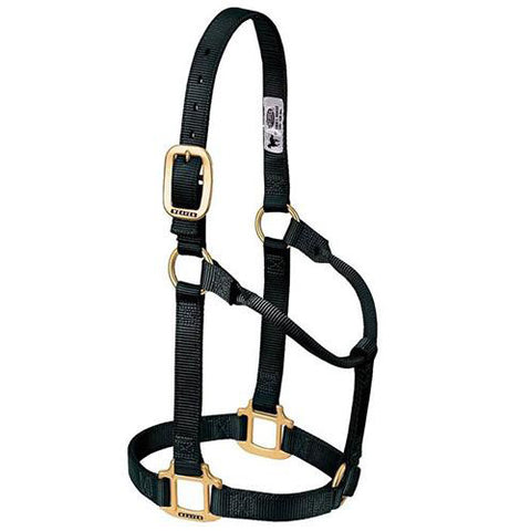 Black 1" Non Adjustable Small Halter