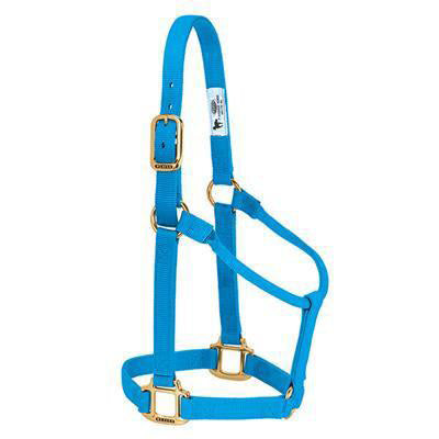 Weaver Hurricane Blue Non Adjustable Halter