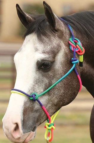 Rainbow MINI Halter