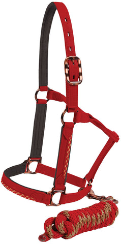 Bronze Halter and Lead - Red