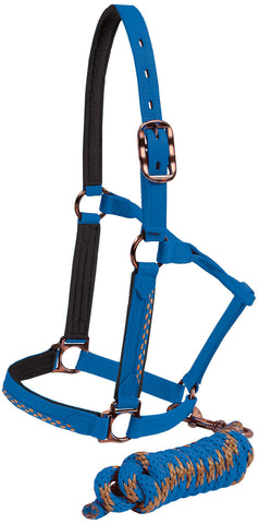 Bronze Halter and Lead - Blue