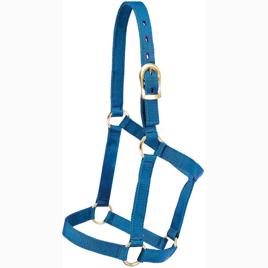 Mustang Blue Yearling Economy Halter 