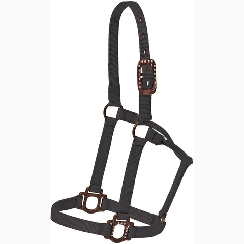 Mustang Black Antique Dot Halter 