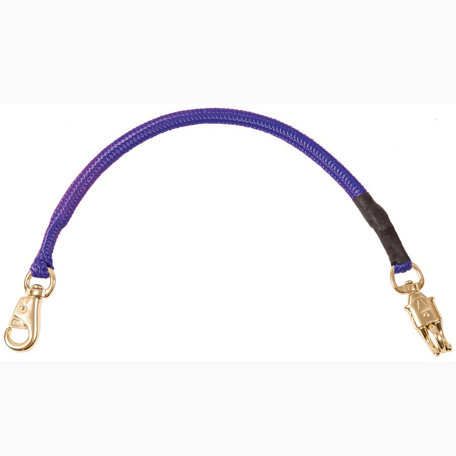 Mustang Purple Bungee Trailer Tie