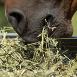 Hay Chix Small Bale Net