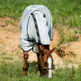 Horseware Ireland Amigo Stocky Horse FLY Rug