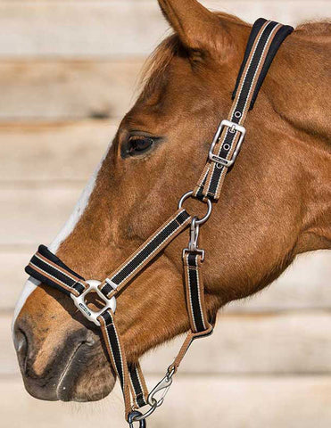 Pro-Fit Breakaway Halter - Black/Tan