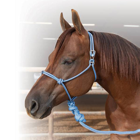 Professional's Choice Turquoise Easy On Halter