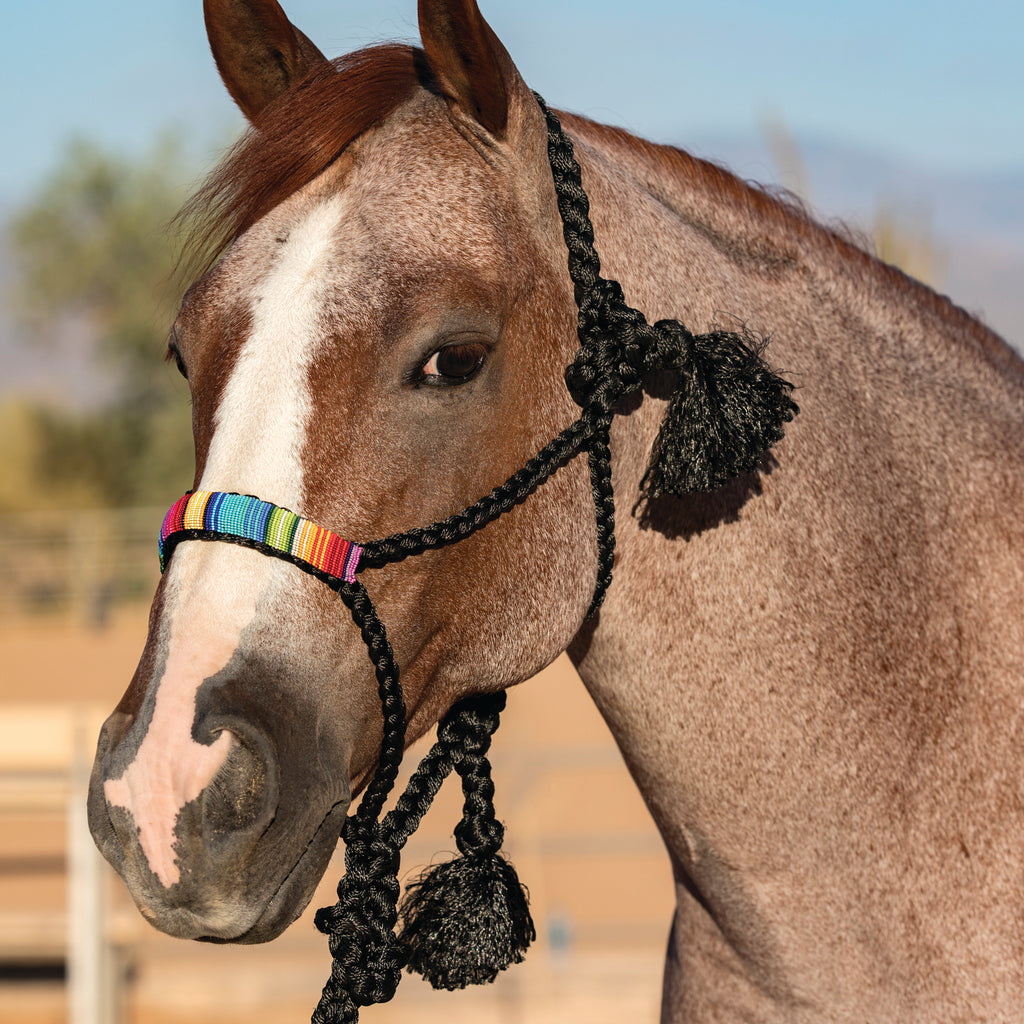 Professional's Choice Black and Serape Cowboy Braided Halter