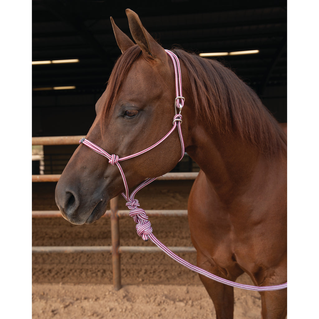 Professional's Choice Wine Easy On Rope Halter