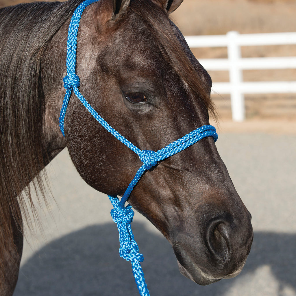 Professional's Choice Turquoise Ranch Hand Rope Halter