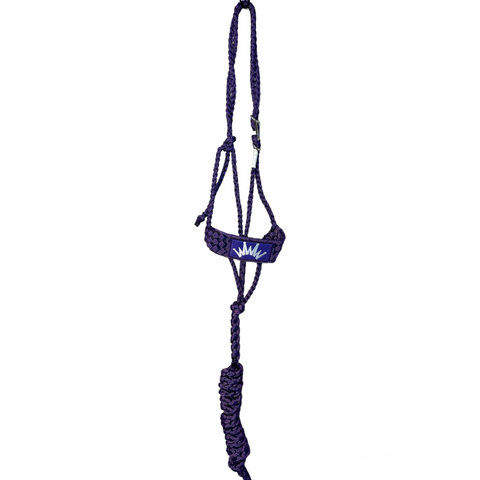 Best Ever Mule Tape Halter Purple