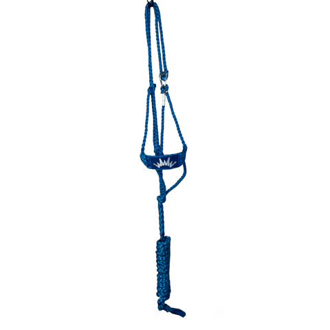 Best Ever Mule Tape Halter Turquoise