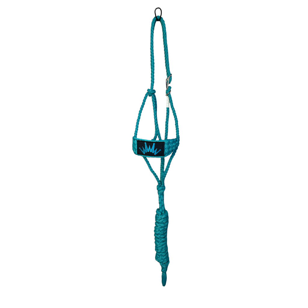 Best Ever Mule Tape Halter Teal
