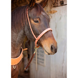 Oxbow Oiled Flat Harness Leather Tiedown