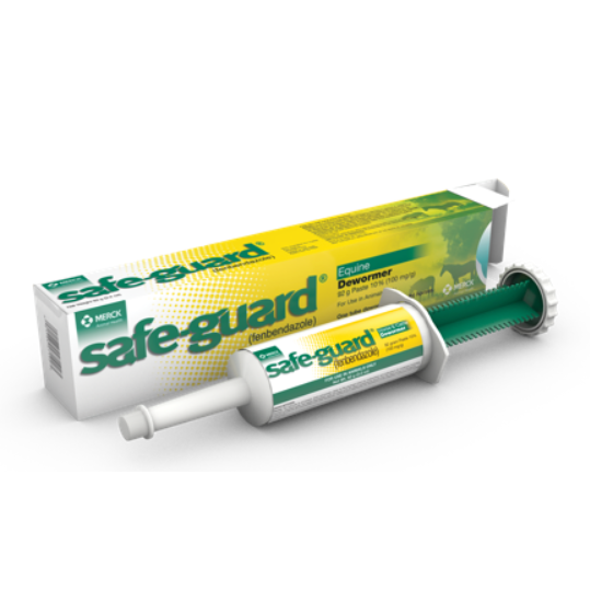SAFEGAURD PASTE