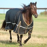 Classic Equine 10k Cross Trainer Winter Horse Blanket - Ginger