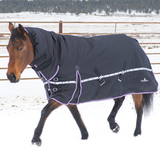 Classic Equine 10K Hooded Winter Horse Blanket- Black