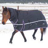 Classic Equine 10K Cross Trainer Winter Hooded Horse Blanket- Slate