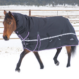 Horse Wearing Winter Blanket - Classic Equine 10K Cross Trainer