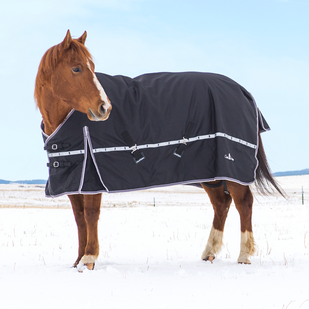 Horse Blanket Research/Horse Blanket Research – redtriangle