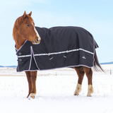 Classic Equine 10K Cross Trainer Winter Horse Blanket