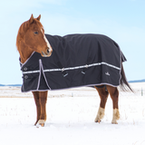 Classic Equine 10K Cross Trainer Winter Horse Blanket - Turquoise