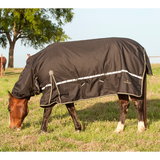 Classic Equine 5K Cross Trainer Hooded Horse Blanket- Black